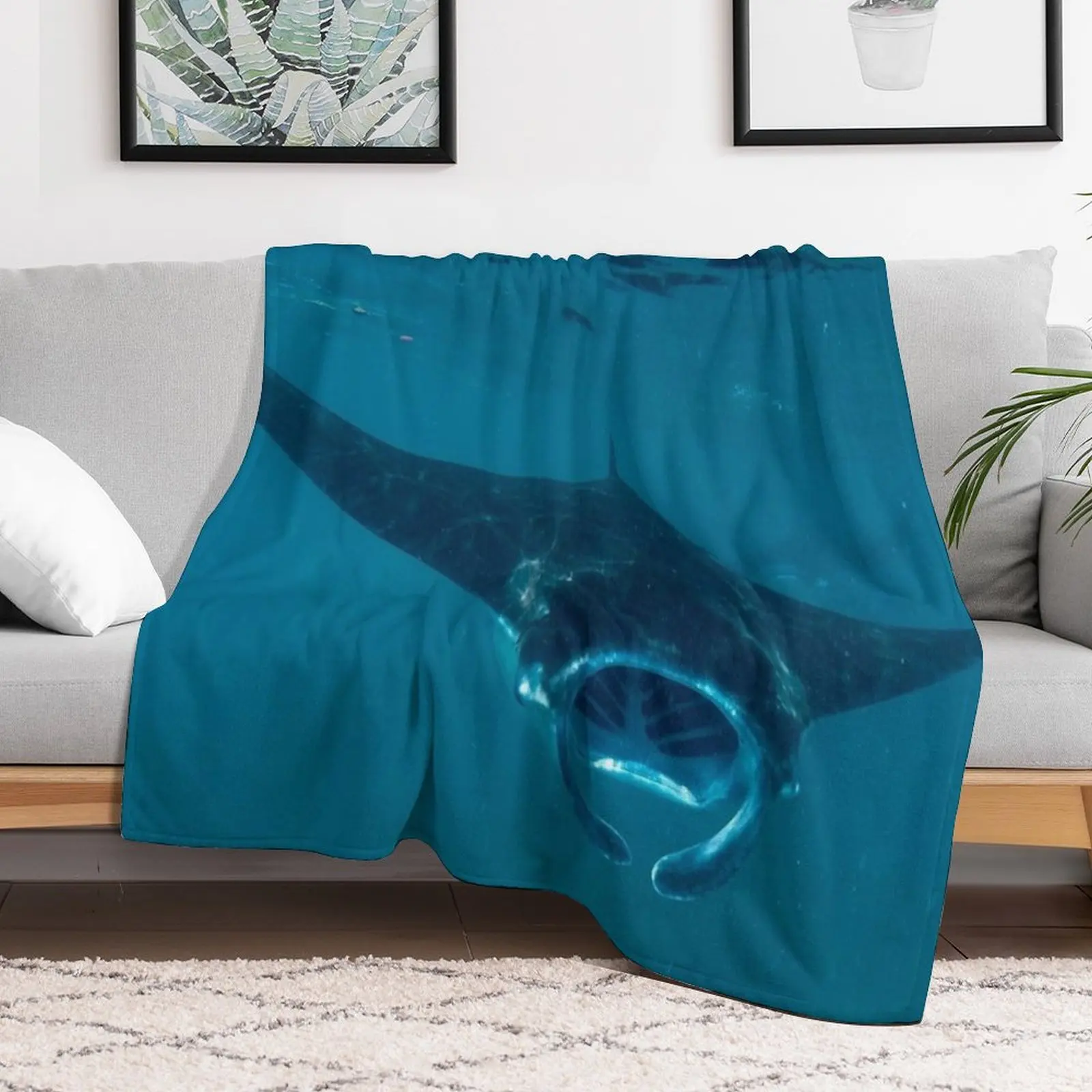 Curious Manta Ray At Crystal B - огляд і ціна 3D Printing Bali