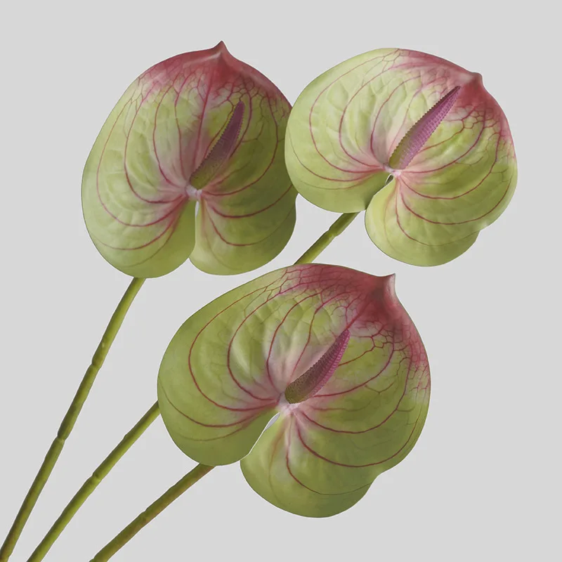 Simulated Flower Living Room H - огляд і ціна 3D Printing Ai