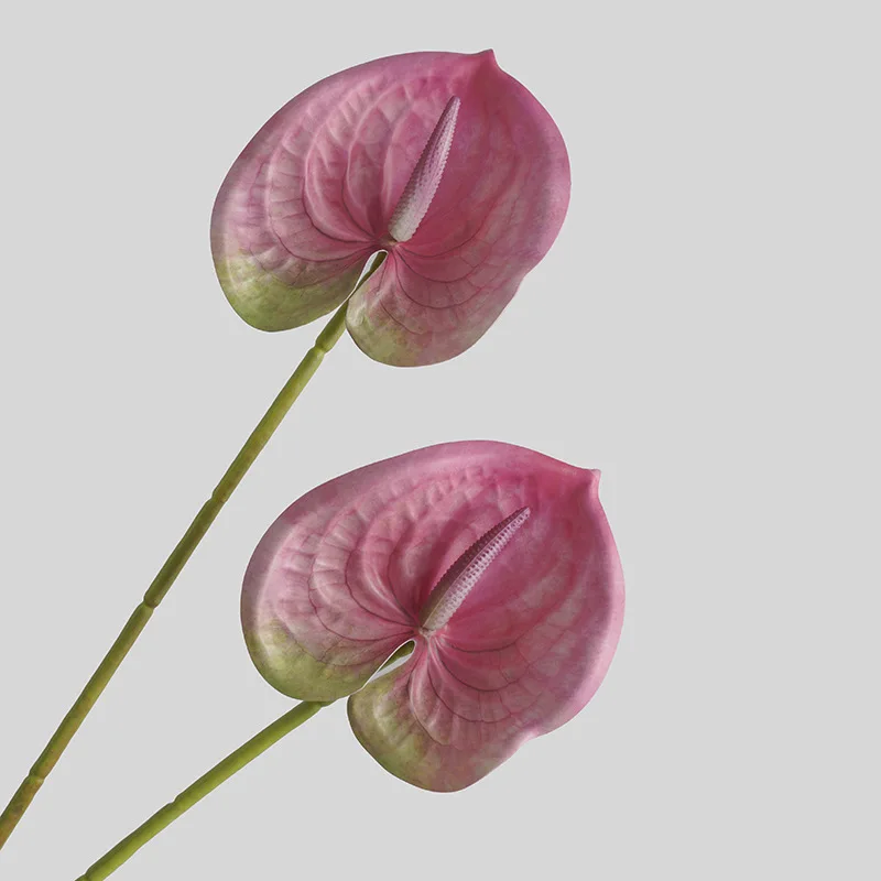Simulated Flower Living Room H - огляд і ціна 3D Printing Ai